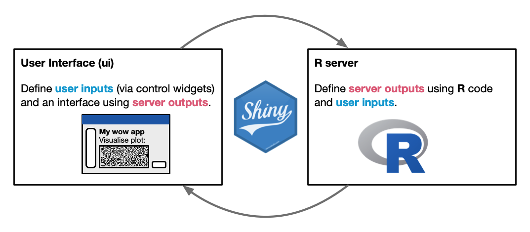 Shiny apps are based on the interaction between a user interface (ui) and an R server.