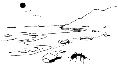 An ant foraging for food in an environment. (Image from this blog post.)