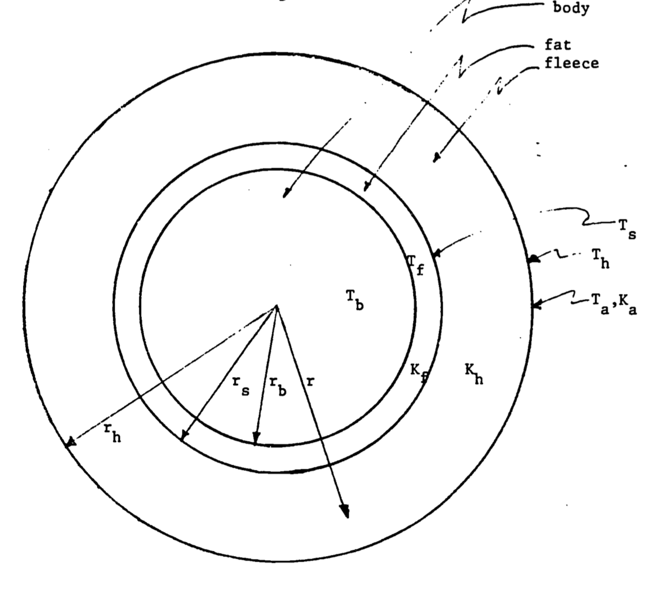 Sheep idealized as a cylinder. In the diagram, $T_a$, $T_b$, $T_s$, $T_h$ and $T_f$ are the temperatures of the air, body, skin, hair tips and fat; $r_b$, $r_s$, and $r_h$ are the corresponding radii of the cylinders; and $K_a$, $K_b$ and $K_f$ are the thermal conductivities of air, fleece and fat.