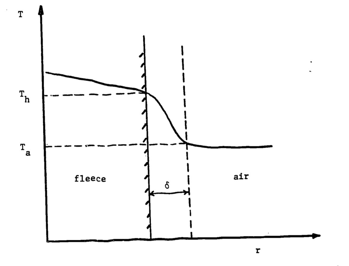 Temperature profile across fleece and air. Delta represents boundary layer thickness, $T_h$=fleece-tip temperature, $T_a$ = air temperature.