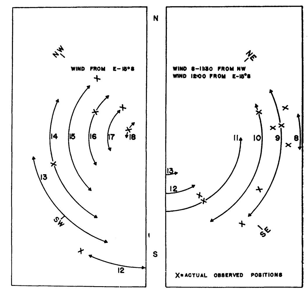 Estimated hourly positions on a tree trunk on Chew's Ridge for June 21 where (*Sceloporus occidentalis* could maintain its characteristic body temperature (arrows) and actual observed positions of lizards on June 21, 1964 (crosses). (From Bartlett, P. N. and D. M. Gates. 1967. P.321.)