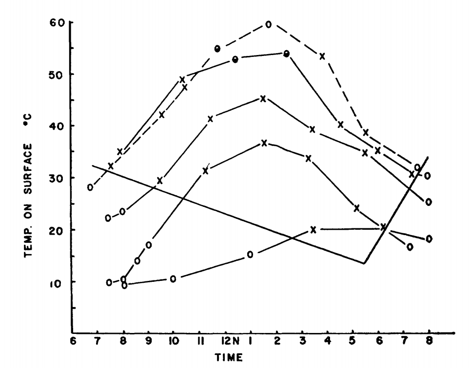 Surface activity of *Pogonomyrmex badius* in relation to temperature of the ground surface and time of day. Active ants on the mound are indicated by crosses; inactive mounds are indicated by open circles; half-closed circles denote very slight activity. The months represented, beginning with the highest curve at 12 noon, are June, July, May, October and February. (From Colley, F.B. and J.B. Gentry, 1964, p. 224.)