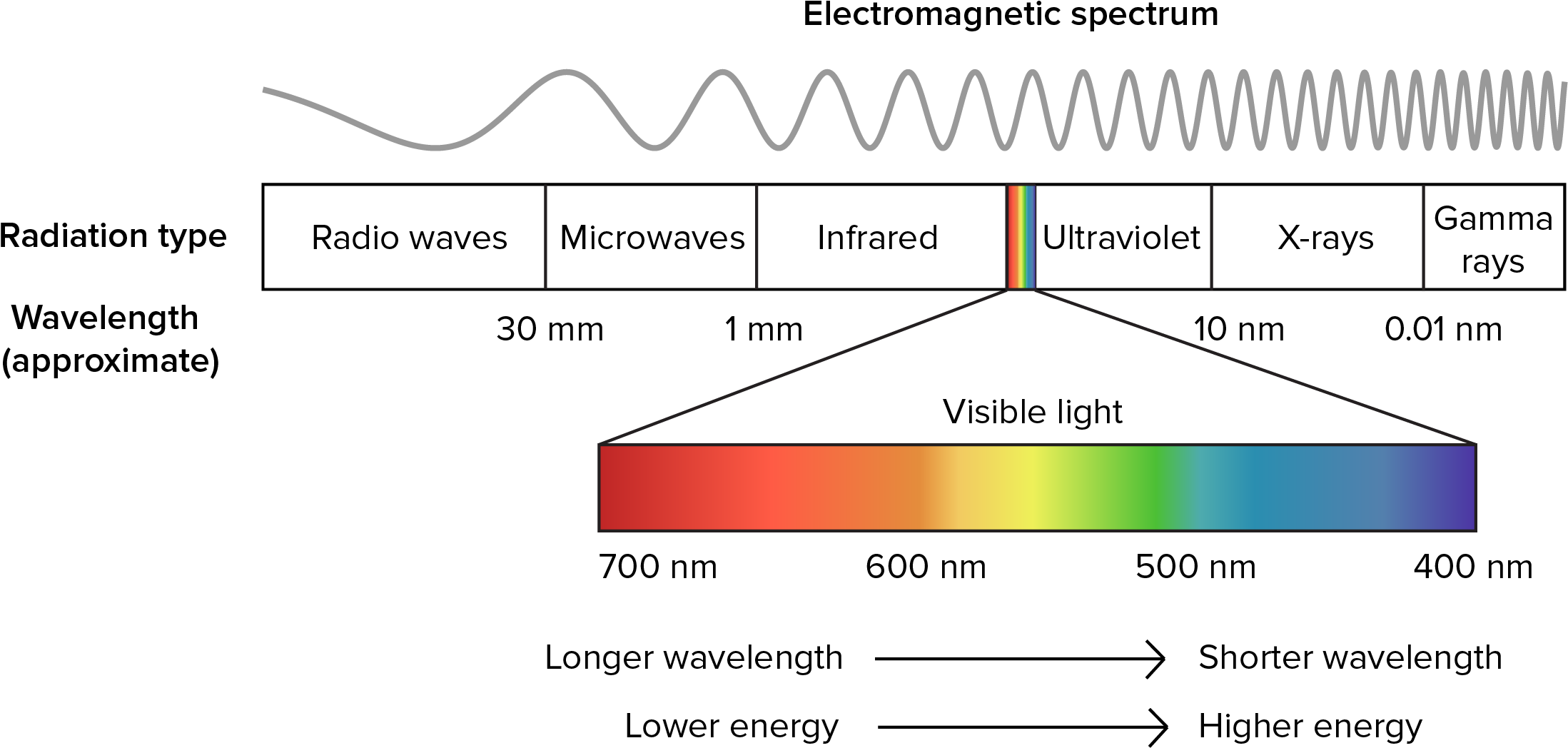 The electromagnetic spectrum.