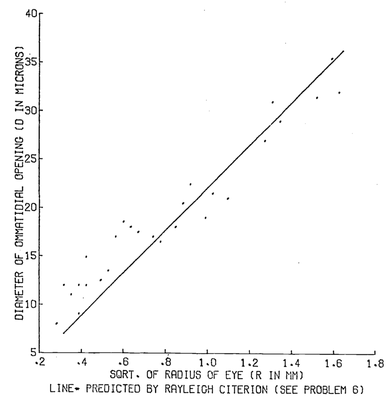 Insect eye - ommatidial diameter vs. the squareroot of eye radii. Points are 27 observations on hymenoptera (Barlow 1952).