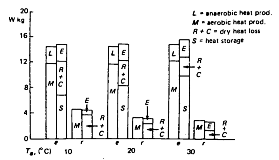 Mean heat production, loss and storage in three exercising (c) and four resting (r) New Zealand white rabbits at ambient temperatures of 10, 20 and 30°C. (From Kluger et al. 1972a.)