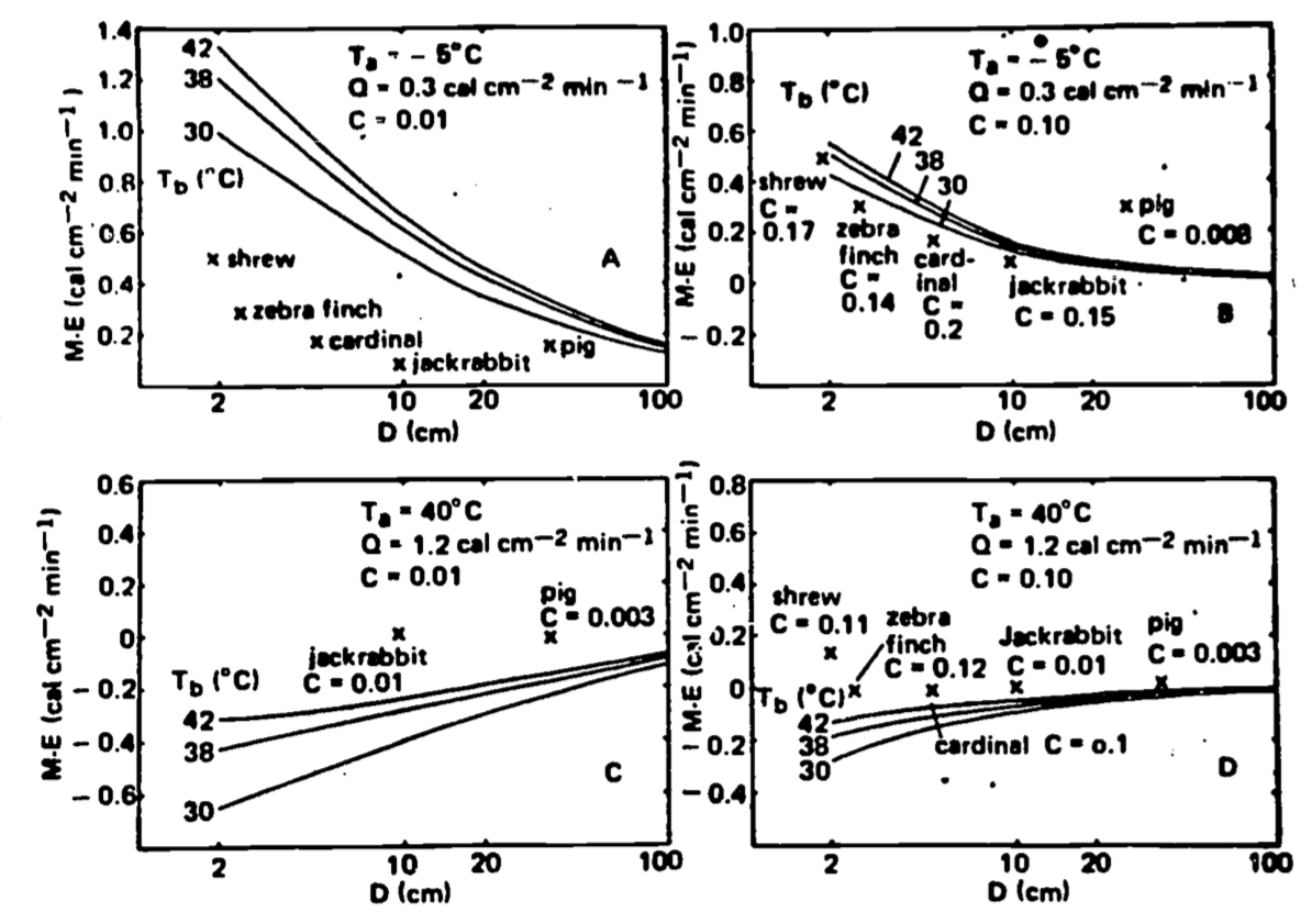 Effect of body size and insulation on the M-E requirement of homeotherms. (A) Cold conditions, clear sky at night, low insulation. (B) Cold conditions, clear sky at night, increased insulation. (C) Full sun, high air temperature, low insulation. (D) Full sun, high air temperature, increased insulation. Insulation consists of a layer of fur or feathers, the thickness of the layer defined as CD, where D is the inside diameter with no insulation and C is a constant proportion of D for all sizes of D in a given set. Data for real animals are taken from Porter and Gates (1969). (From Spotila and Gates 1975, p. 295.)