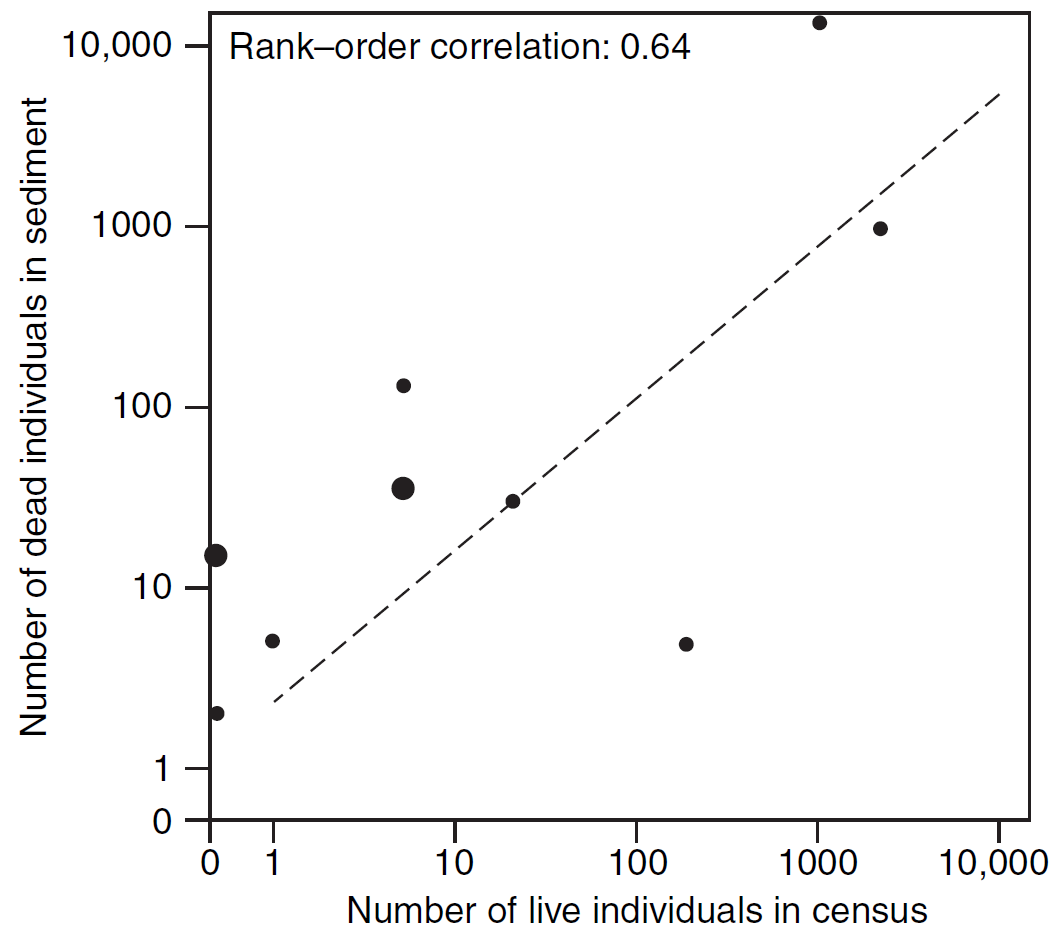 Comparación de abundancias de especies en una comunidad viva y sus restos subfósiles en un arroyo de marea en California. El gráfico muestra que las especies más abundantes en la muestra viva también tienden a ser más abundantes en la muestra de conchas muertas, con abundancias muertas generalmente más altas que las vivas. Este análisis es clave para comprender la relación entre las comunidades vivas y los fósiles. Imagen tomada de Foote & Miller (2007).