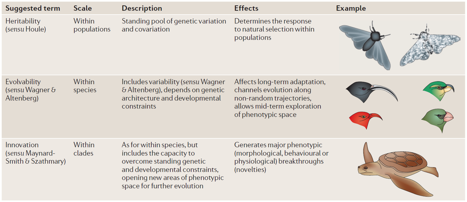 El espectro conceptual de la evolucionabilidad. Imagen tomada de Pigliucci (2008).