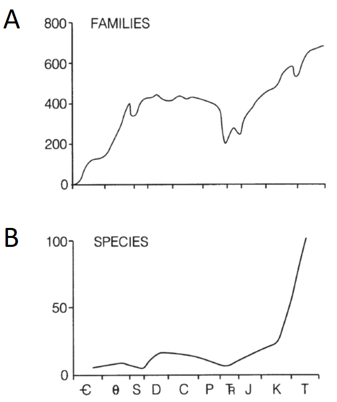 Comparativa entre curvas de diversidad del Fanerozoico capturadas considerando (A) familias y (B) especies. Imagen tomada de  Brenchley & Harper (1997).