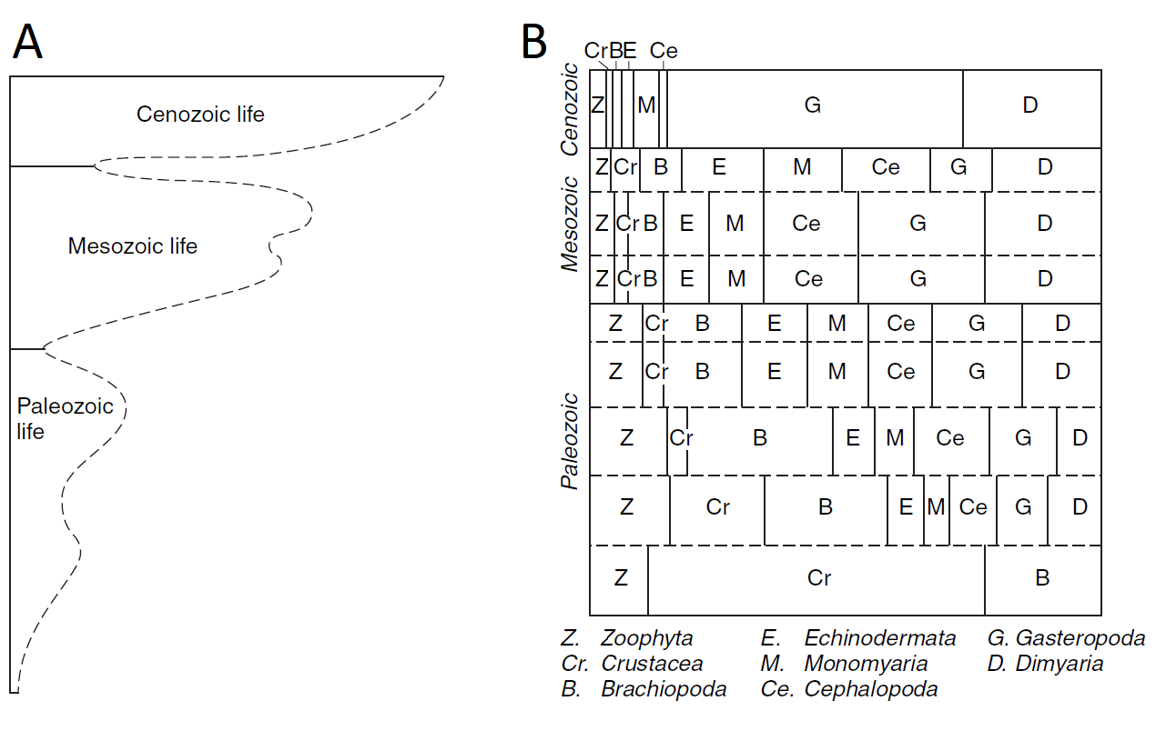 Representación de Phillips sobre la historia de la diversidad marina del Fanerozoico, basada en las ocurrencias de fósiles marinos en Gran Bretaña. (A) Una ilustración de los cambios a través del tiempo en el número de especies. (B) Un resumen de los cambios a través del tiempo en las contribuciones relativas de los principales taxa a la composición general de la biota marina. Aunque algunos de los nombres están desactualizados (por ejemplo, 'Crustacea' se refiere principalmente a los trilobites y 'Dimyaria' son moluscos bivalvos), las transiciones que Phillips representó se aproximan estrechamente a las ilustradas más de un siglo después por otros investigadores. Imagen tomada de Phillips (1860).