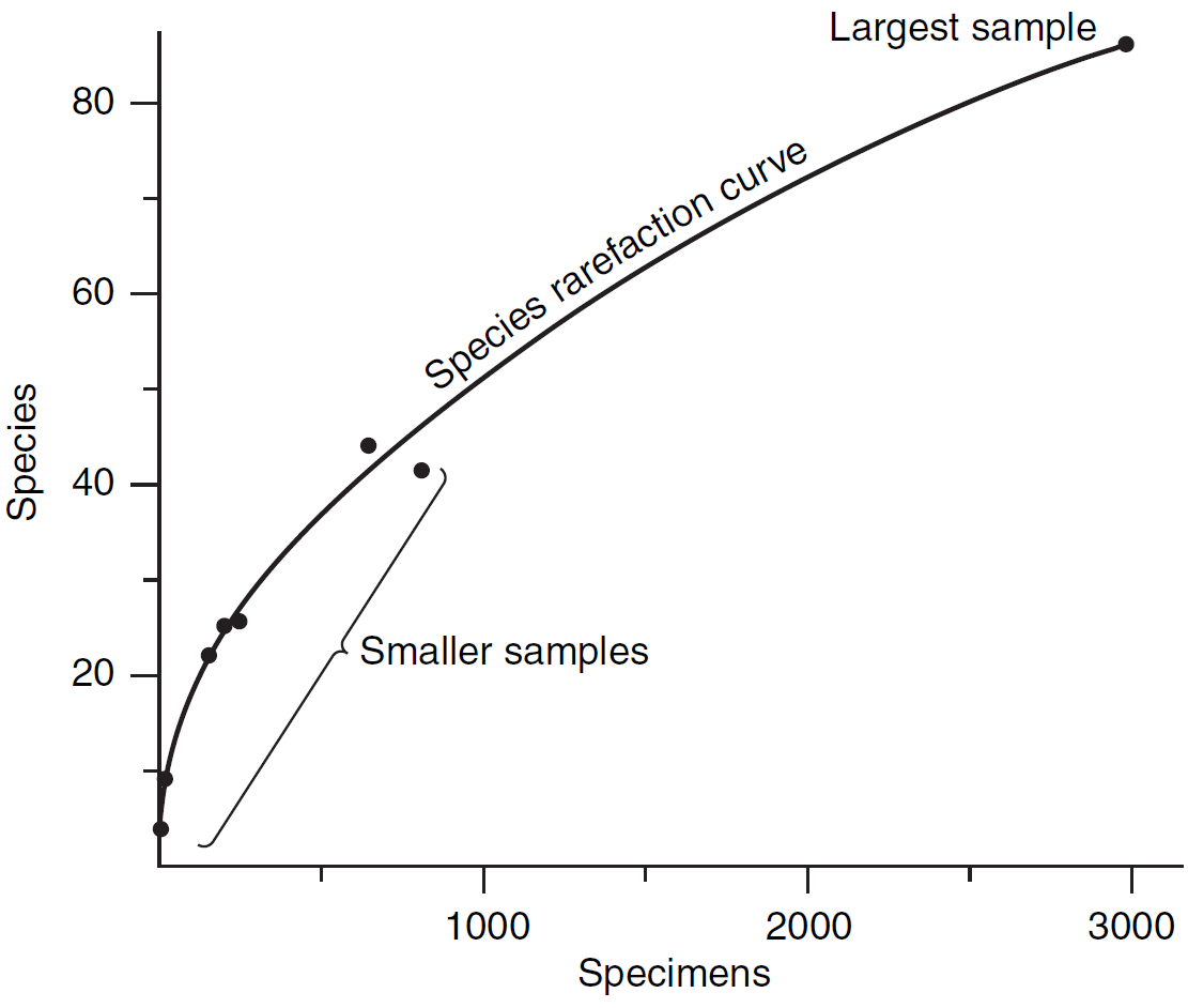 Ejemplo de curva de rarefacción. Imagen tomada de Foote & Miller (2007).