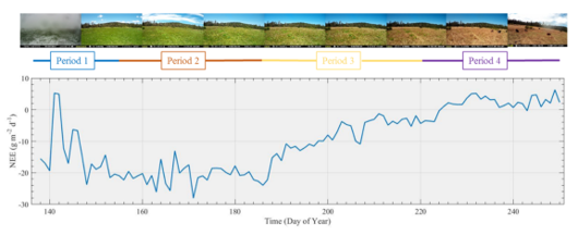 Loney Meadow net ecosystem exchange (NEE) results (Blackburn et al. 2021)