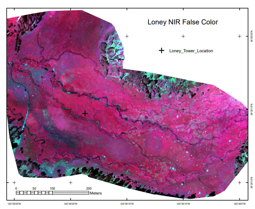 Loney Meadow False Color image from drone-mounted multispectral camera, 2017