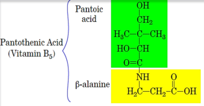 Structure of Vitamin B5