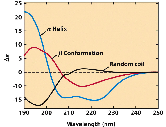 Circular Dichroism Spectroscopy