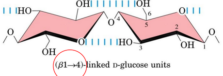 Structure of Cellulose