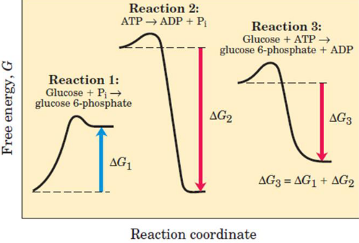 Chemical Example of Free Energy