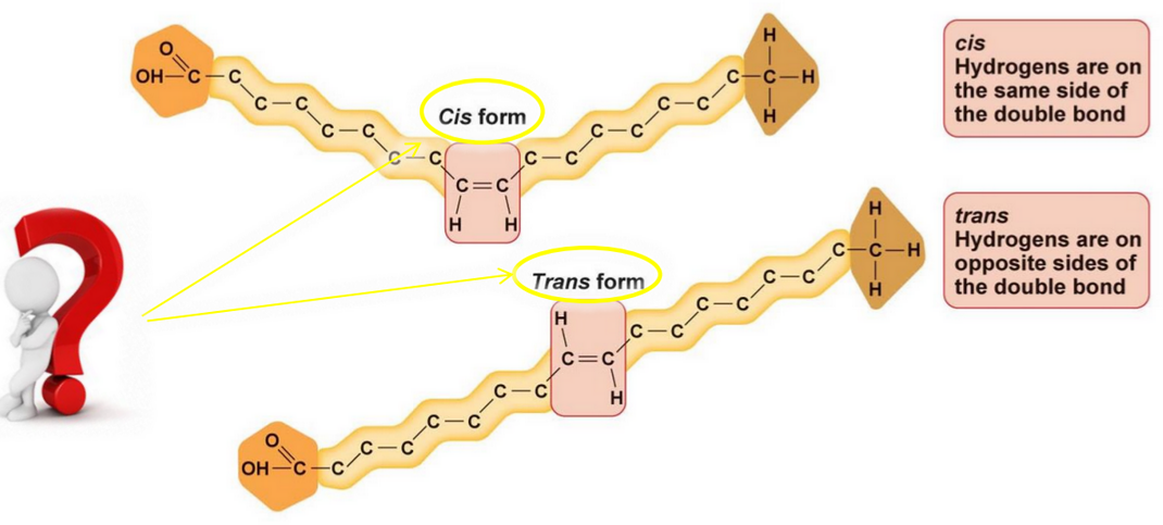 Difference Between Cis and Trans Fatty Acids