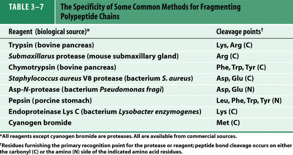 Enzymes Used in Cleaving Polypeptides