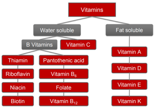 Two Classes of Vitamins