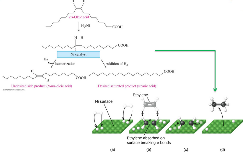 Detailed Schematic of Hydrogenation