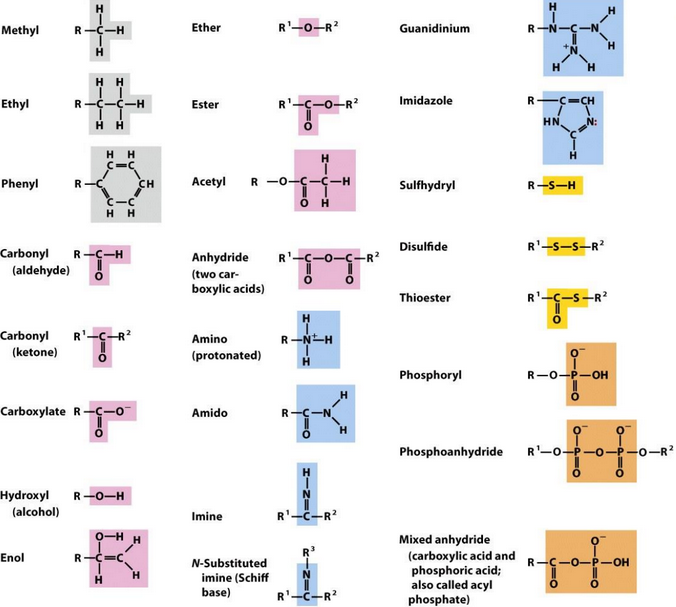 Common Functional Groups in Biomolecules