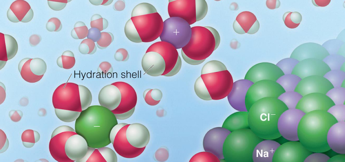 Hydration Shell Around an Anion