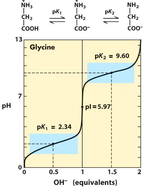 Isoelectric Point Demonstration