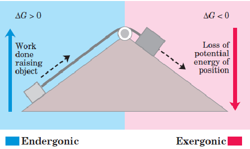 Mechanical Example of Free Energy