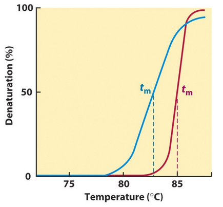 Melting Point of DNA