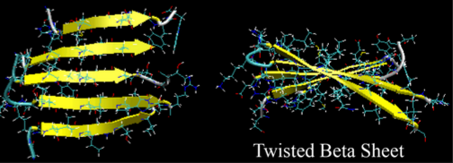 Beta Sheet in a Membrane Protein