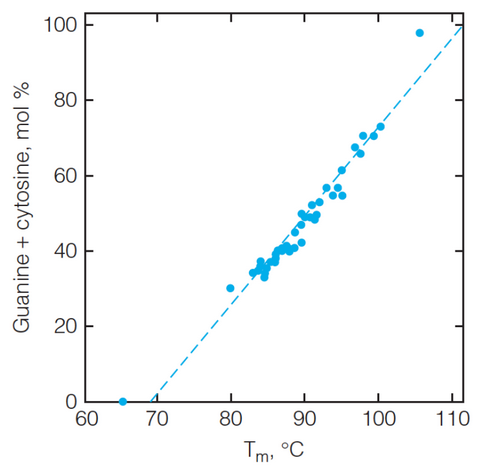 Melting Point of DNA and Guanine and Cytosine Composition