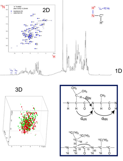 Multidimensional NMR