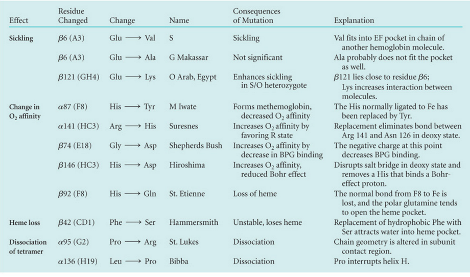 Health Problems Associated with Mutant Hemoglobin