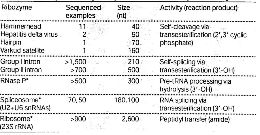 Summary of Naturally-Occuring Ribozymes and Ribonucleoproteins Enzymes