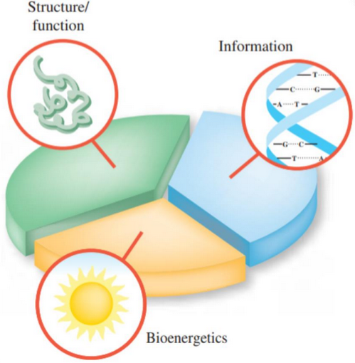 Composition of Biochemistry