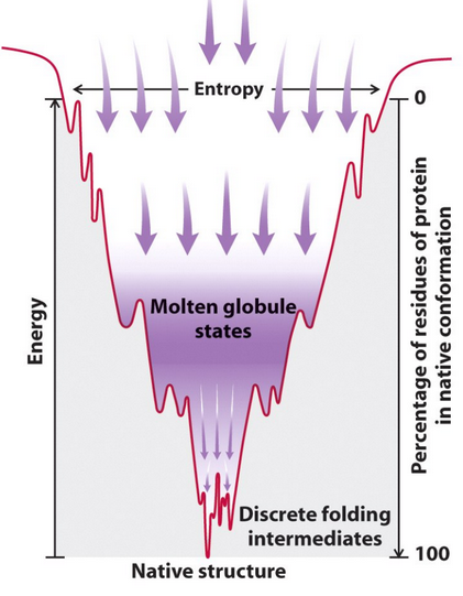 Helix Formation and Collapse