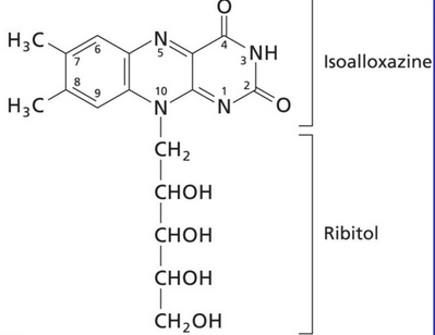 Structure of Vitamin B2