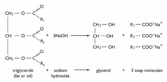 Saponification Reaction