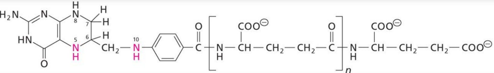 Structure of Tetrahydrofolate