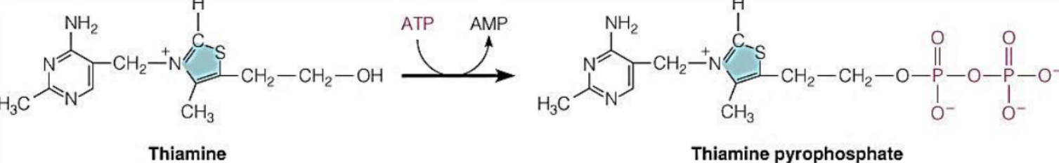 Structure of Thiamine Pyrophosphate