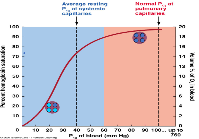 O~2~ Disassociation Curve