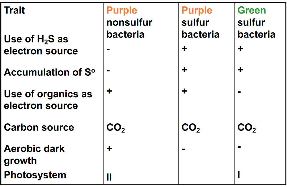 Anoxygenic Bacterial Photosynthesis