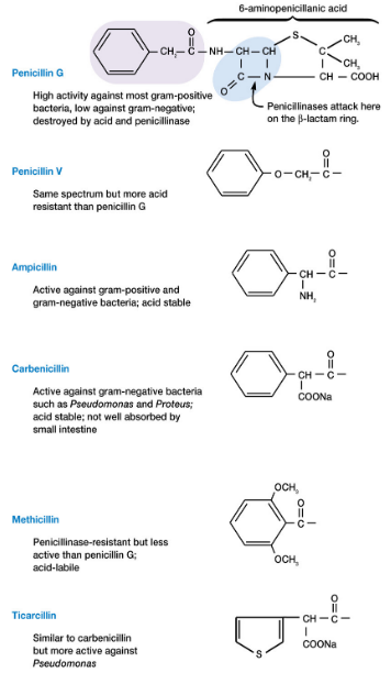 Beta Lactam Antibiotics