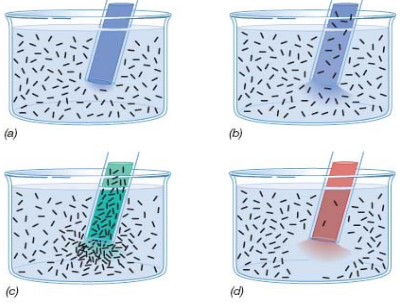 A Capiliary Tube Assay