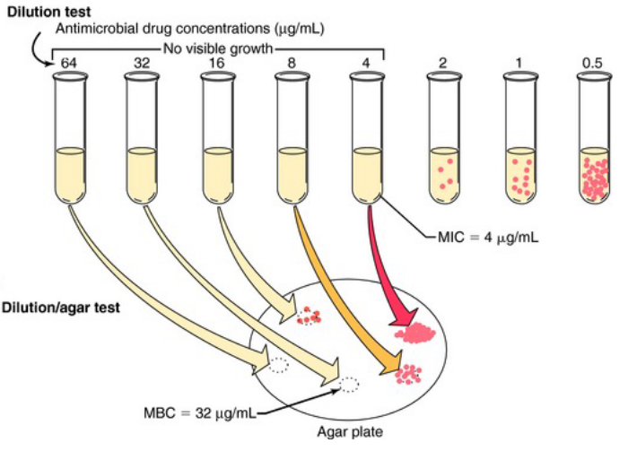 A Dilution Susceptibility Test