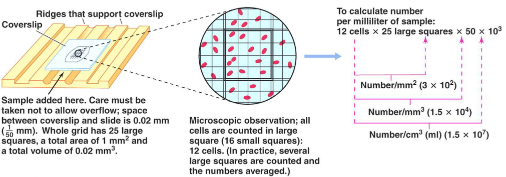 The Direct Count Method