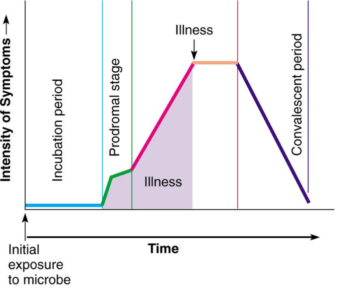 Progression of an Infectious Disease