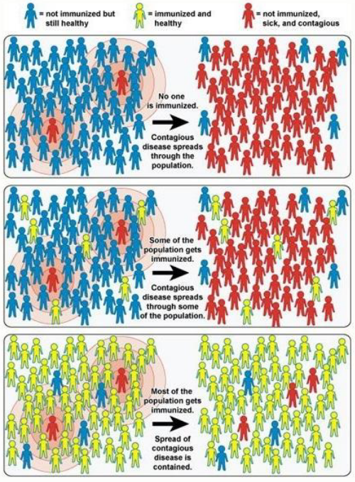 Herd Immunity Depicted