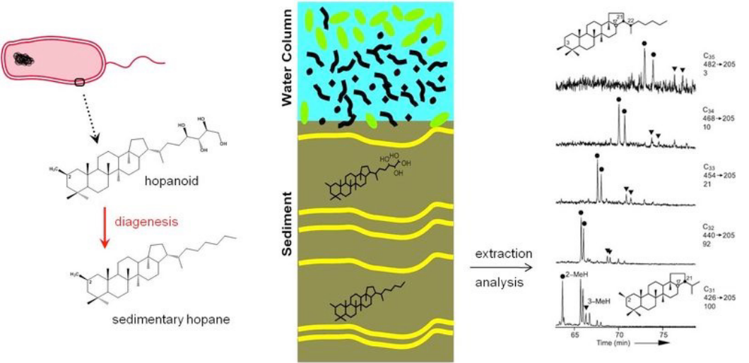 Hopanoid Analysis